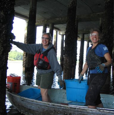 Scraping Mussels