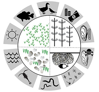 Consortia Icons