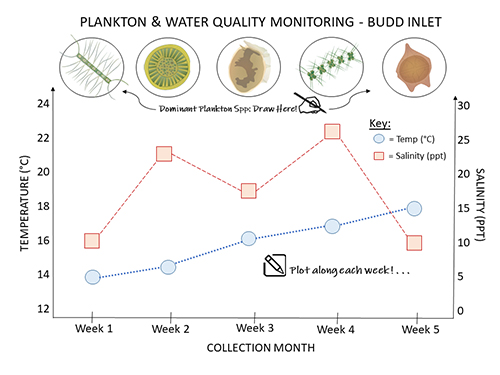 Plot-Along-At-Home Plankton