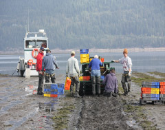 SHELLFISH PRODUCTION