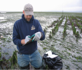 Shellfish Production Photo