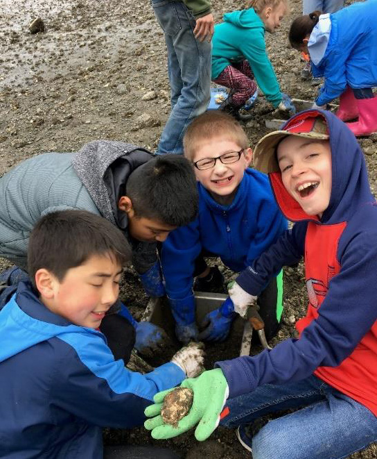 shellfish gardening