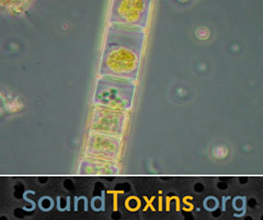 SoundToxins.org