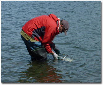 Ocean Acidification Monitoring Photo