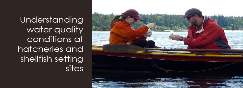 Understanding water quality conditions at hatcheries and shellfish setting sites