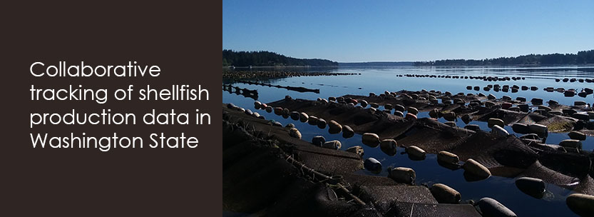 Collaborative tracking of shellfish production data in Washington State