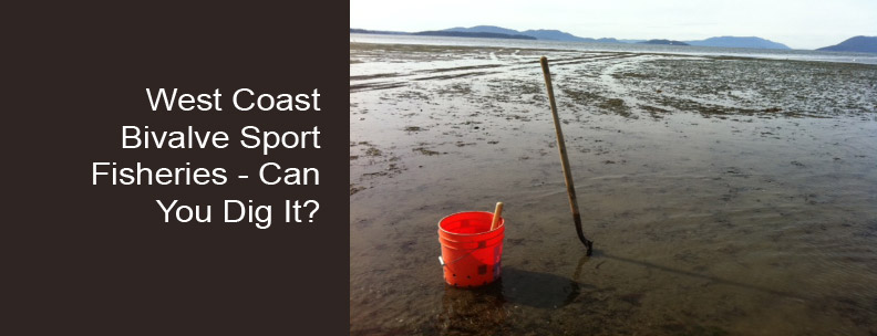 West Coast Bivalve Sport Fisheries - Can You Dig It?