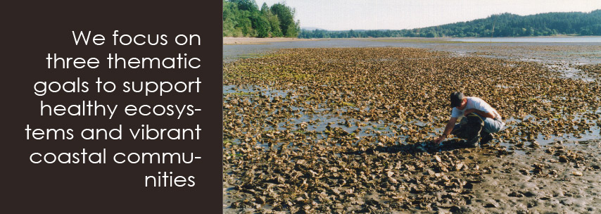 Our vision is for healthy coastal ecosystems and productive and sustainable shellfish populations